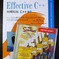 이펙티브C++ 3판, The Simpsons: Testify 질렀습니다.