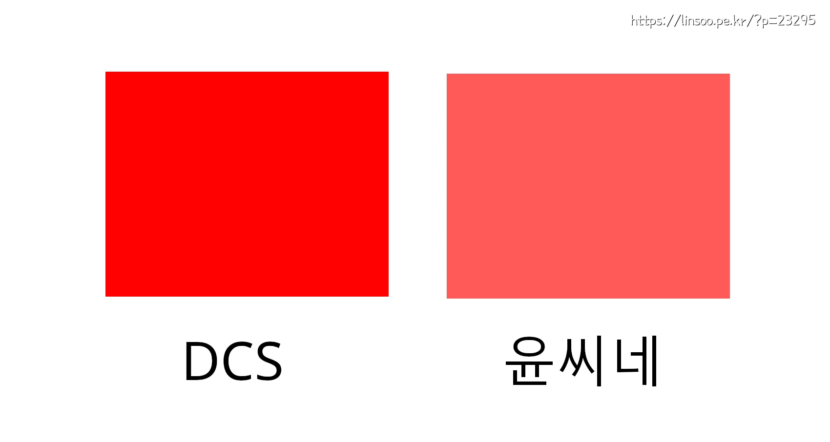 DCS랑 윤씨네 색감 차이